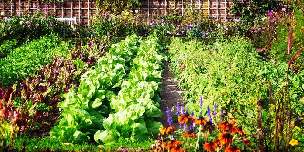 Permaculture Life Skills Project
