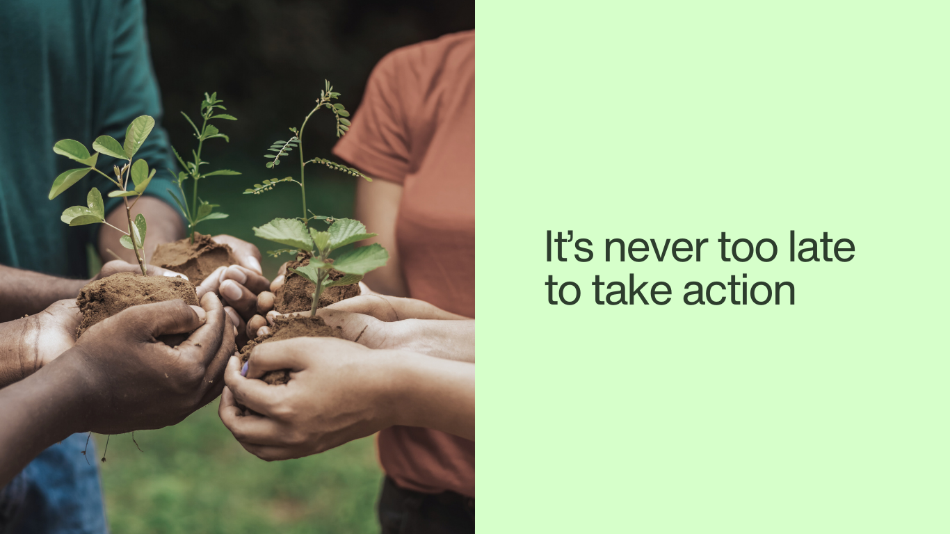 Every cent you donate helps us provide these essential services Rescue operations Funding for rescuing animals from abusive and neglectful environments. Shelter and nutrition Providing safe, comfo (1)