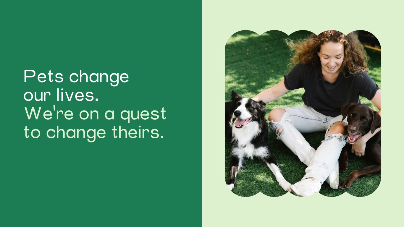 Every cent you donate helps us provide these essential services Rescue operations Funding for rescuing animals from abusive and neglectful environments. Shelter and nutrition Providing safe, comfo